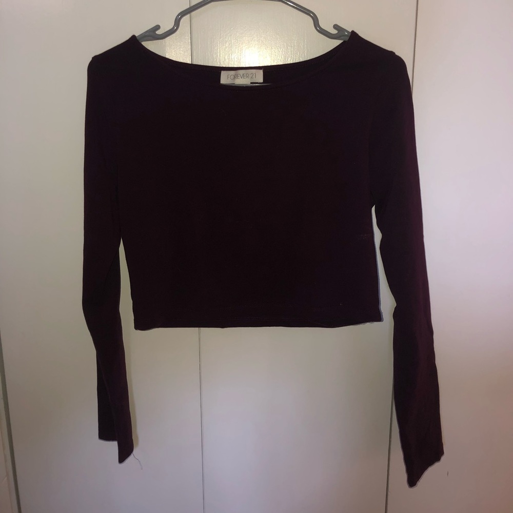Long Sleeve Plum Crop Top
